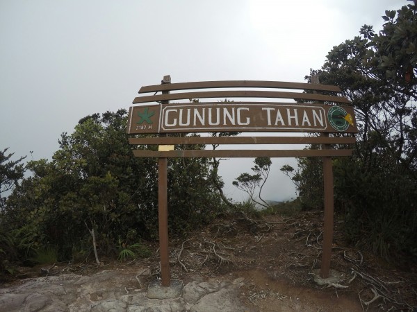 C6008  TRANS TAHAN via KUALA TAHAN (K2M) TREKKING