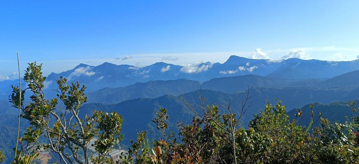 C6007  GUNUNG KORBU - GAYONG (KORGA) 3D2N TREKKING