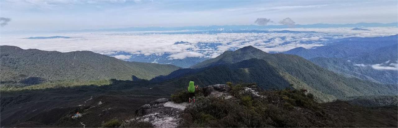 C6008  TRANS TAHAN via KUALA TAHAN (K2M) TREKKING