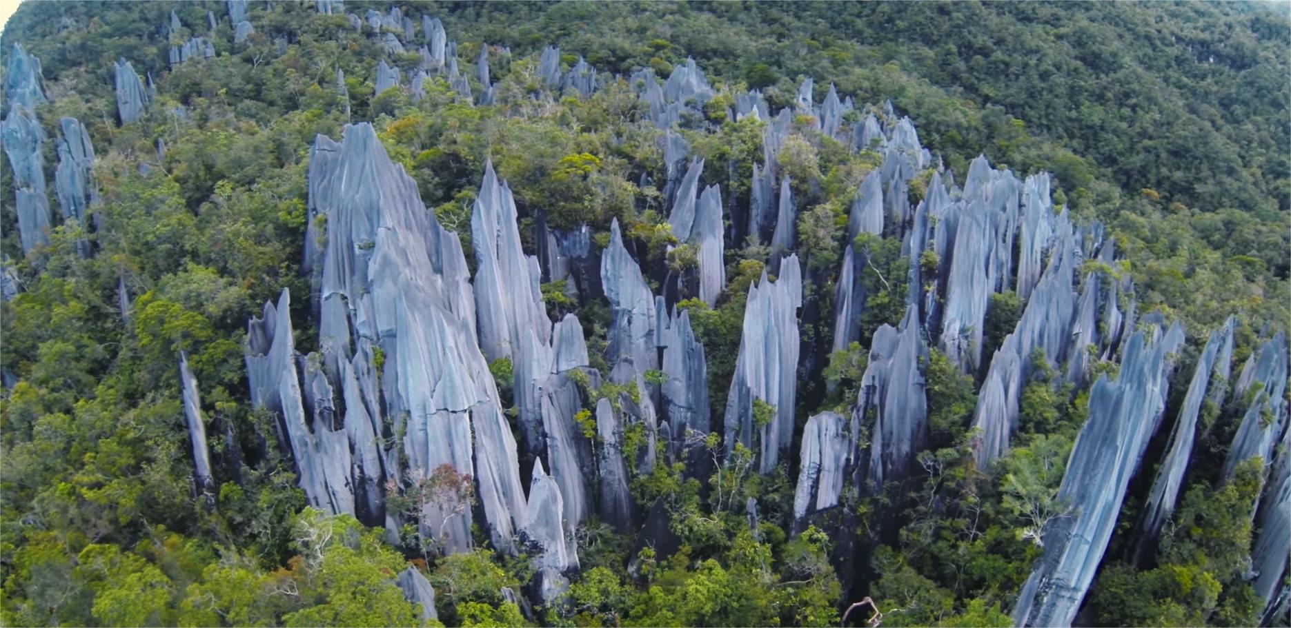 F6026 姆魯刀鋒登山之旅 5D4N