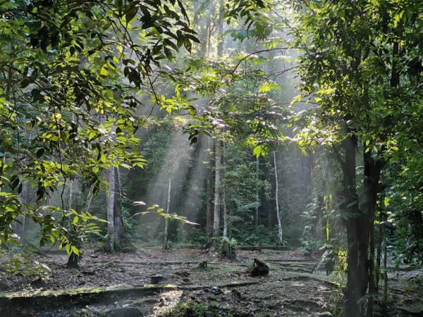 H6020  GUNUNG CHENUANG - BATU KUMBANG DAY HIKE